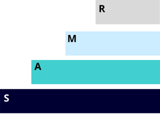 SAMR steps